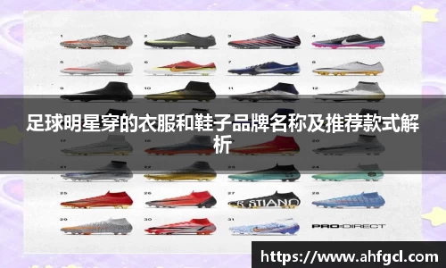 金年会金字招牌